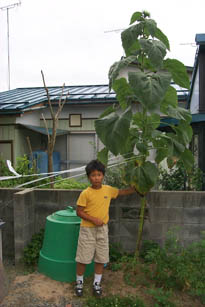 hima0813.jpg