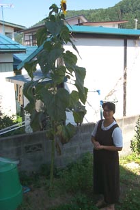 hima0819-1.jpg
