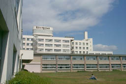 niwa1.jpg