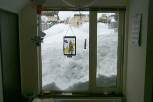 WindowsN.jpg