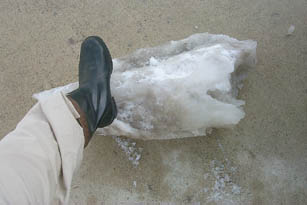 ice2.jpg
