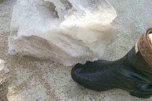 ice3.jpg