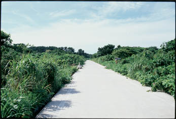 route1.jpg