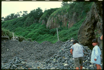 saikawar.jpg